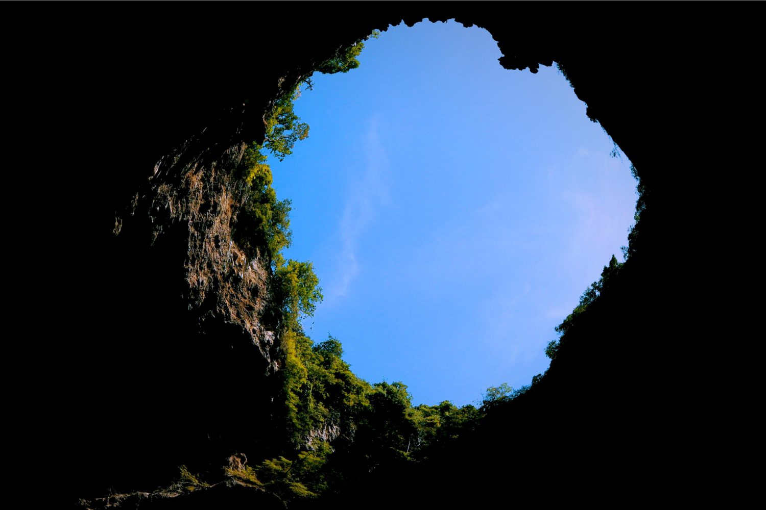 Ellen MacArthur Foundation to advance circular economy solutions worldwide.